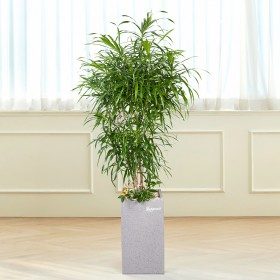 자바 상품 이미지