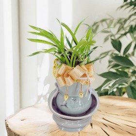 환희 판매 상품 사진