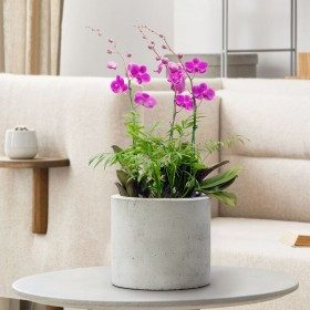 만천홍 판매 상품 사진